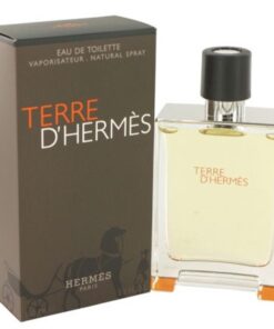 Hermes-Terre-D'hermes-EDT-for-Men-100ml