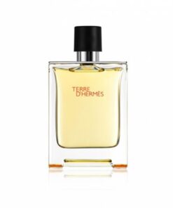 Hermes-Terre-D'hermes-EDT-for-Men-100ml-Bottle