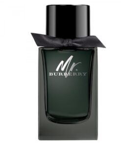 mr-burberry-edp-for-men-100ml-Bottle