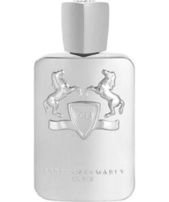 parfums-de-marly-galloway-edp-for-men-125ml-Bottle