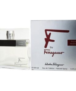 Salvatore-Ferragamo-F-EDT-for-Men-100ml