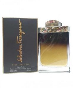 Salvatore-Ferragamo-Pour-Homme-Oud-EDP-100ml